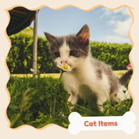 Cat Items