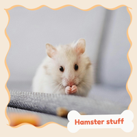Hamster Stuff