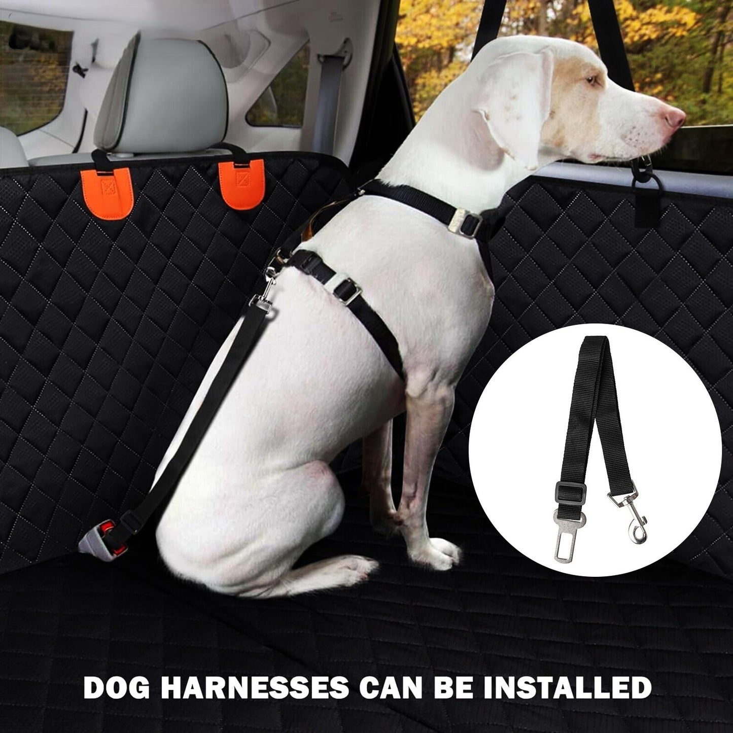 Pets Australia™ Waterproof Car Pet Mat — Hard-Wearing, Scratch-Resistant, Built for the Backseat